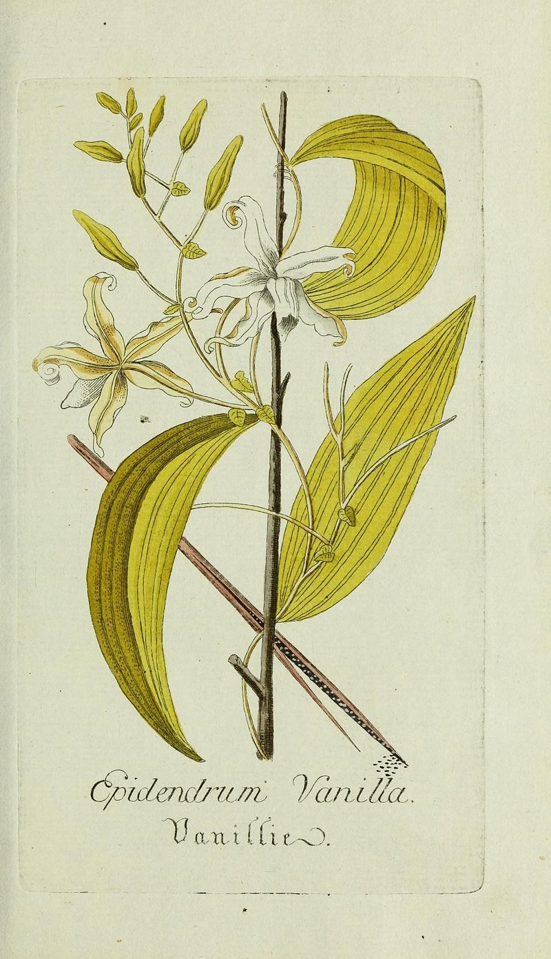 Image by Lukas Hochenleitter und Kompagnie