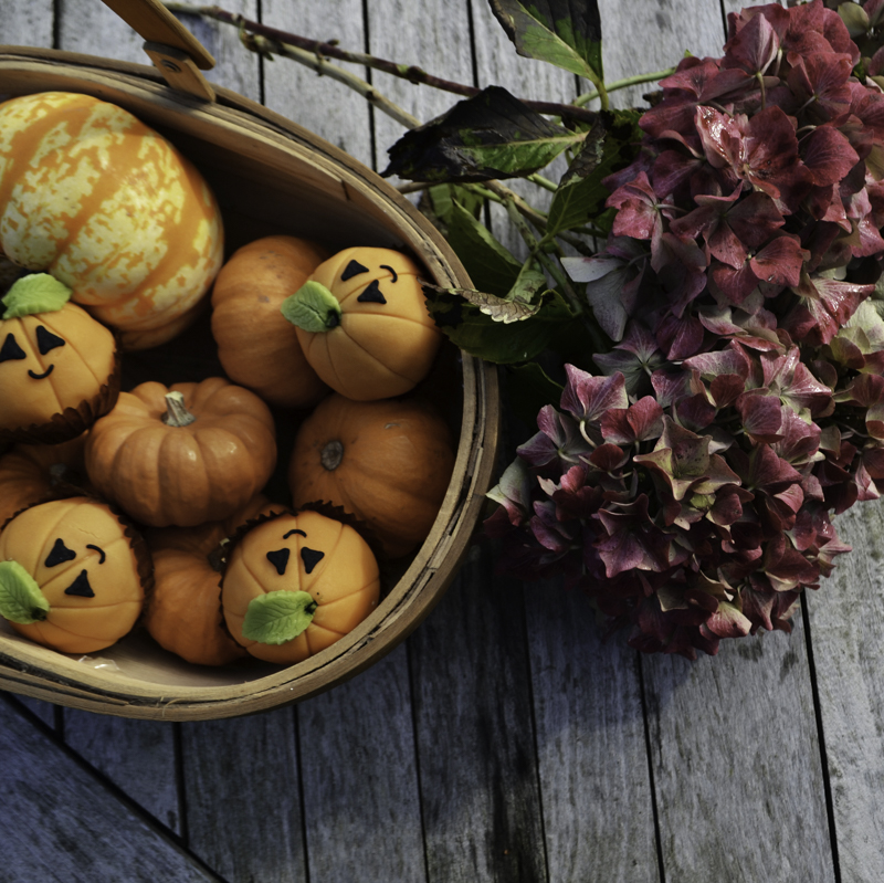 12 Oct 2016 06:18:08