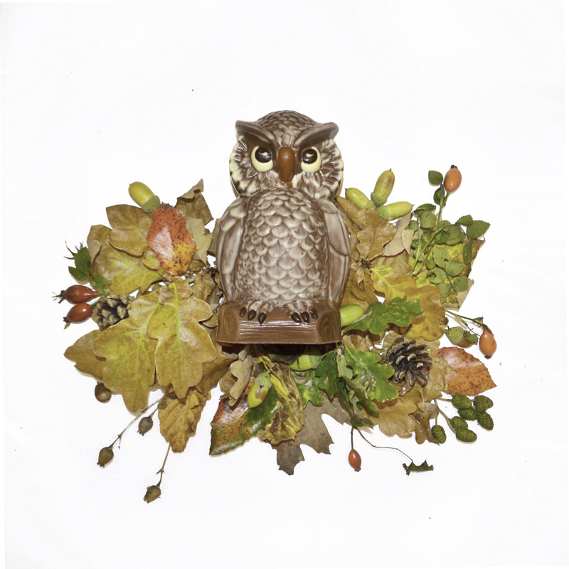 12 Oct 2016 06:18:08