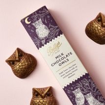 Milk Chocolate Owls
